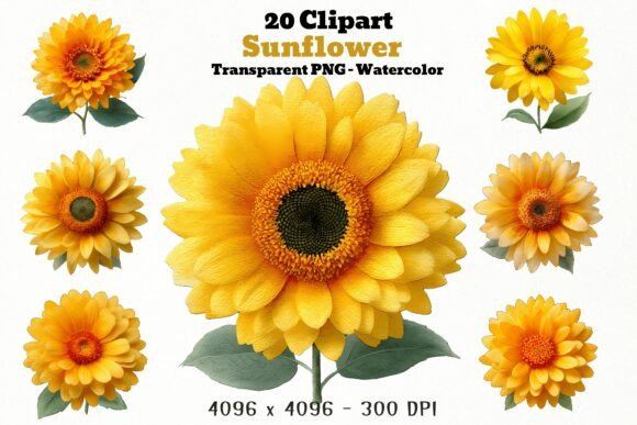 20 Sunflower PNG Clipart Bundle